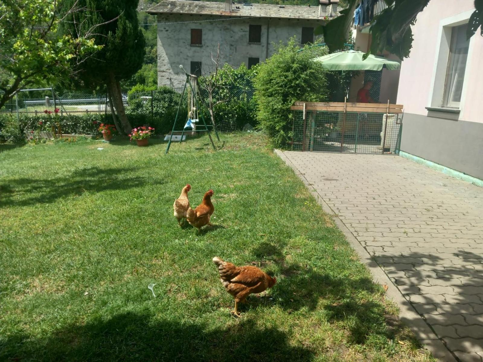 Casa Sergio Grosio Esterno foto