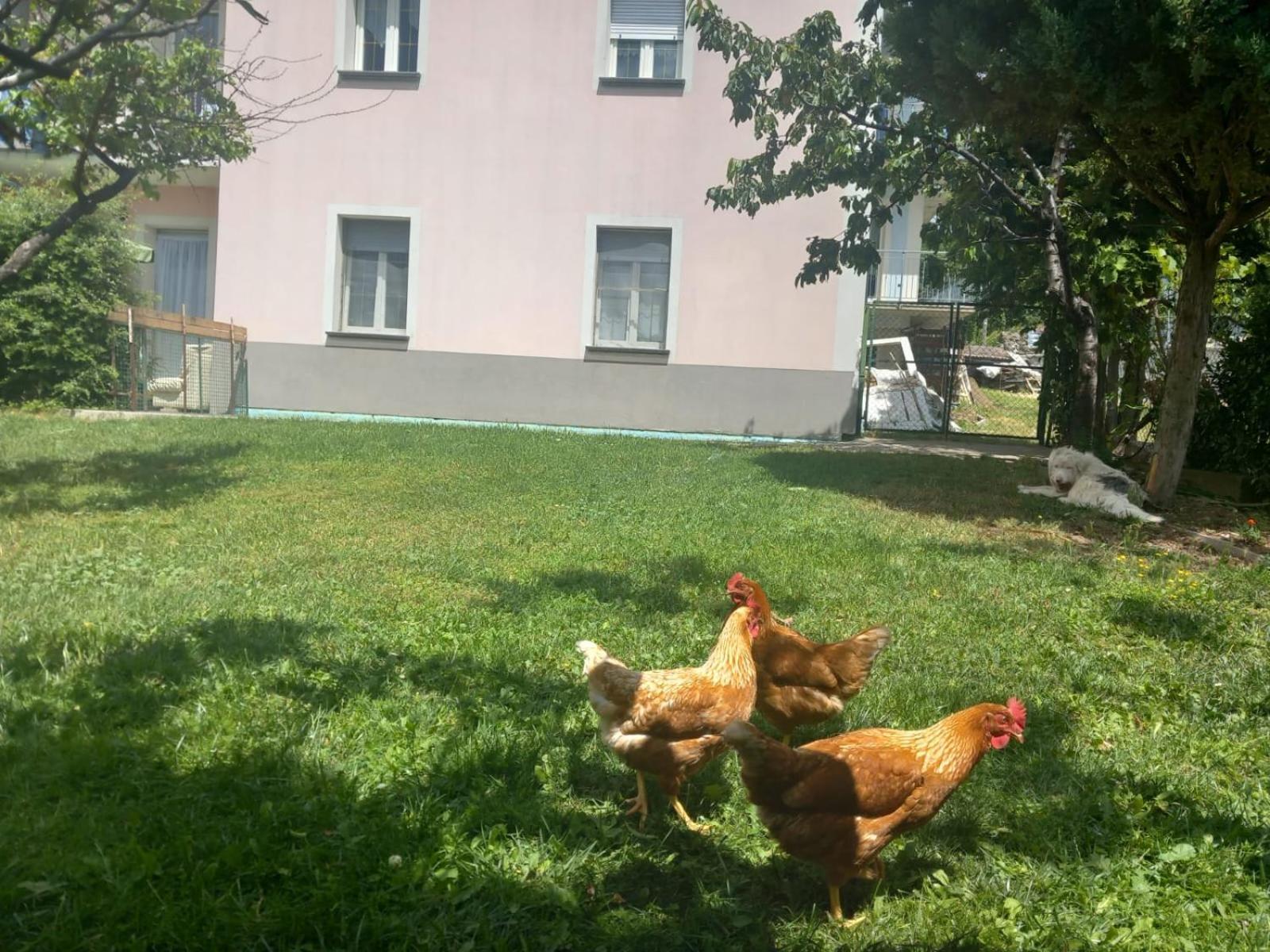 Casa Sergio Grosio Esterno foto