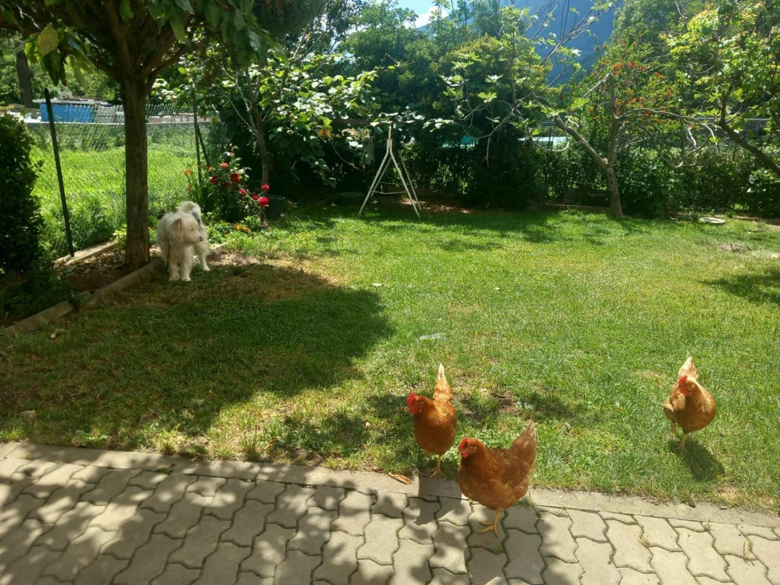Casa Sergio Grosio Esterno foto